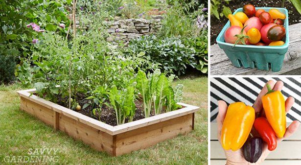 vegetable-garden-design-ideas-small-gardens-41_19 Зеленчукова градина дизайн идеи малки градини