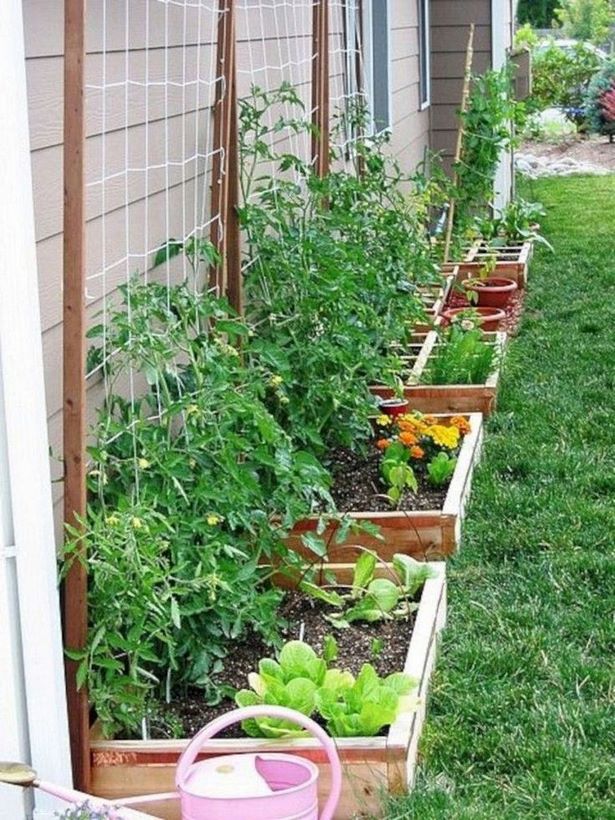 vegetable-garden-design-ideas-small-gardens-41_3 Зеленчукова градина дизайн идеи малки градини