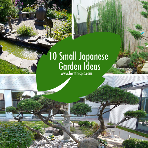 very-small-japanese-garden-42 Малка японска градина