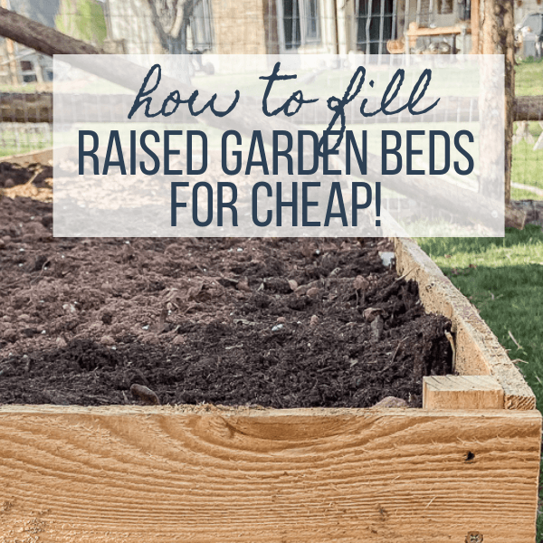 why-raised-garden-beds-22 Защо са повдигнати градински легла