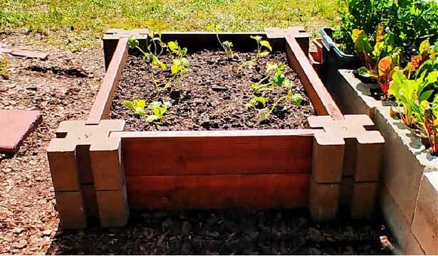 why-raised-garden-beds-22_14 Защо са повдигнати градински легла