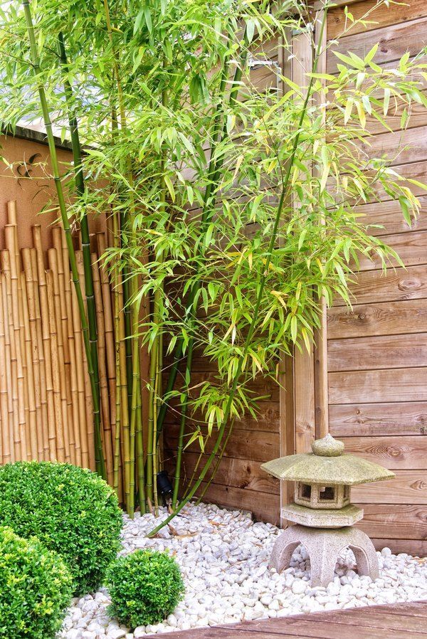 zen-bamboo-mini-garden-74 Дзен бамбук мини градина