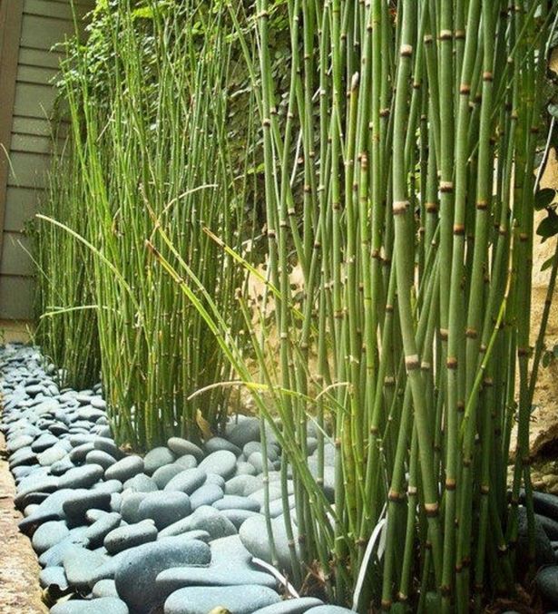 zen-bamboo-mini-garden-74_9 Дзен бамбук мини градина