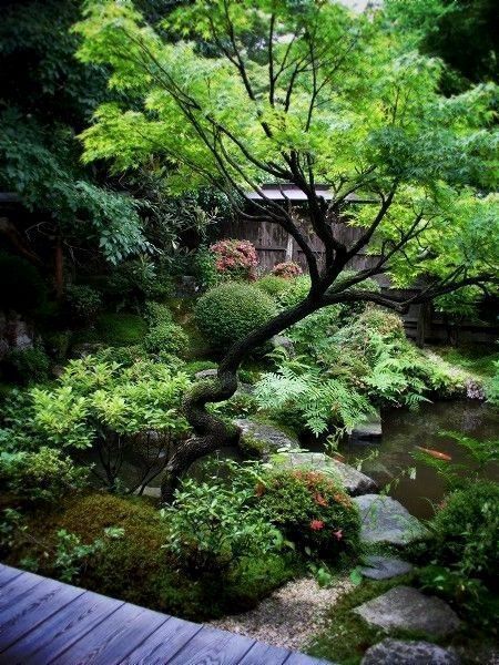 zen-garden-design-principles-69_7 Принципи на дизайна на Дзен градината