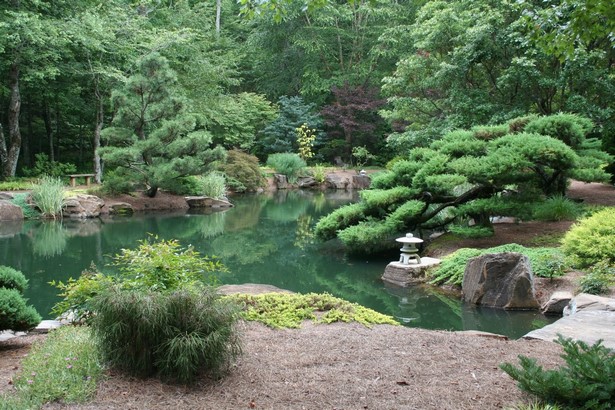 zen-garden-pond-12_7 Дзен градина езерце