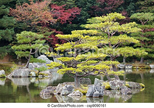 zen-garden-tree-57_10 Дзен градина дърво