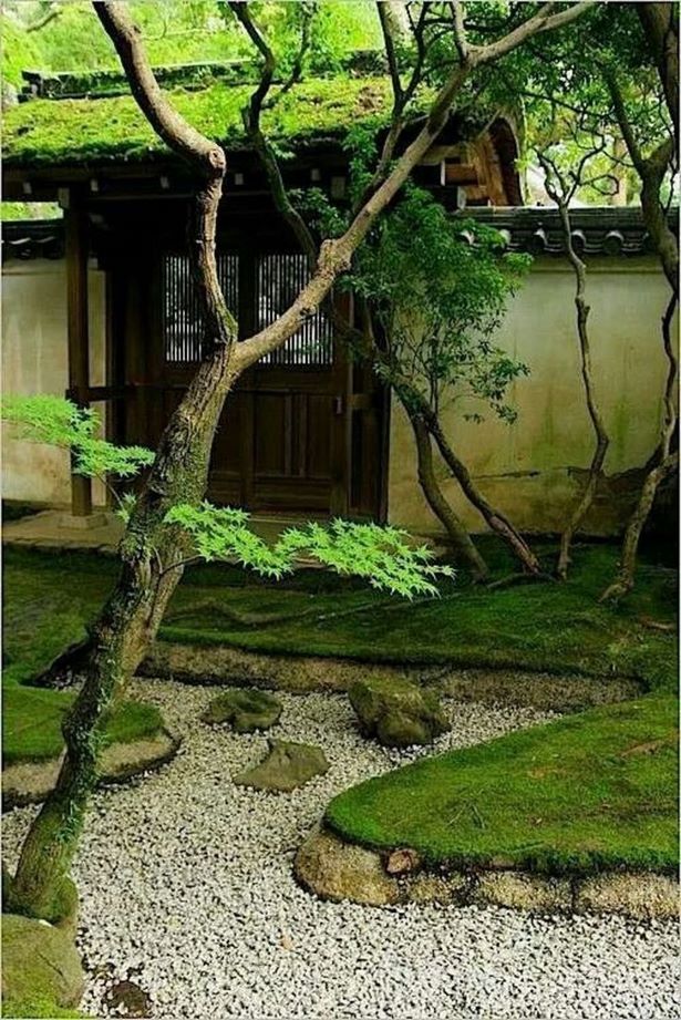 zen-like-gardens-20 Дзен като градини