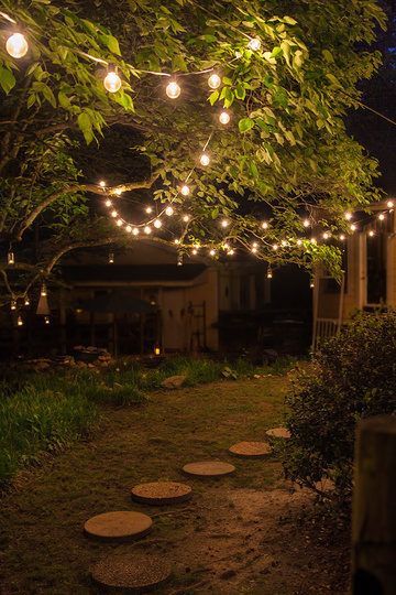 backyard-tree-lighting-ideas-19_17 Идеи за осветление на дървета в задния двор