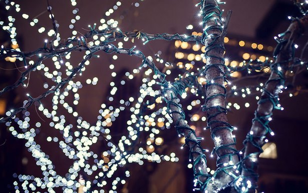 best-christmas-lights-for-outdoor-trees-36_14 Най-добрите коледни светлини за открито дърво