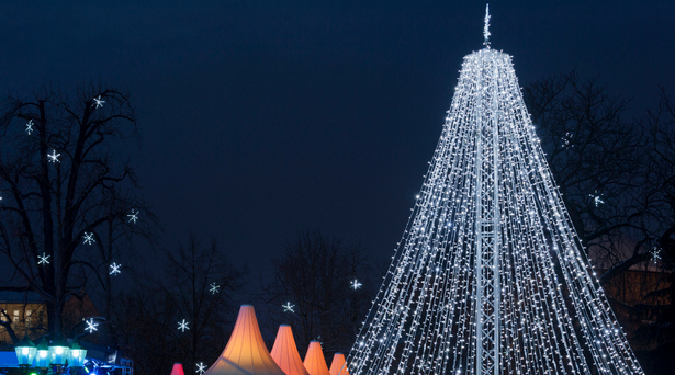 easy-outdoor-christmas-tree-lights-59 Лесно открито коледно дърво светлини