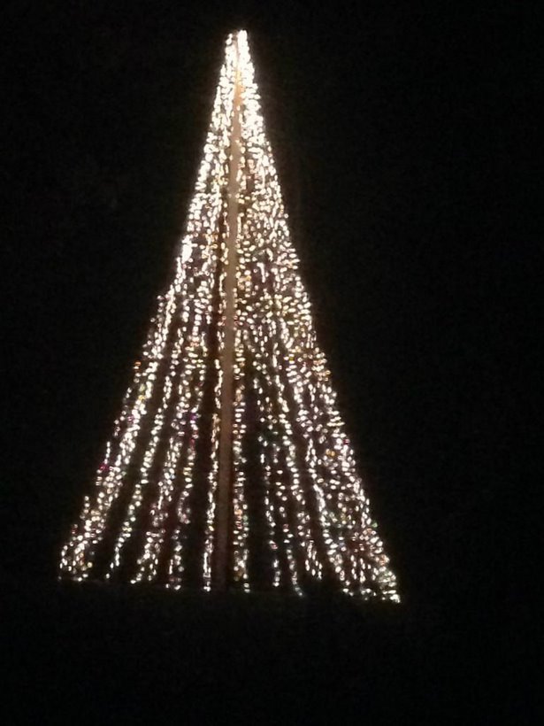 easy-outdoor-christmas-tree-lights-59_6 Лесно открито коледно дърво светлини