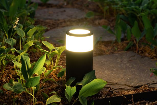 electric-garden-spotlights-44_12 Електрически градински Прожектори