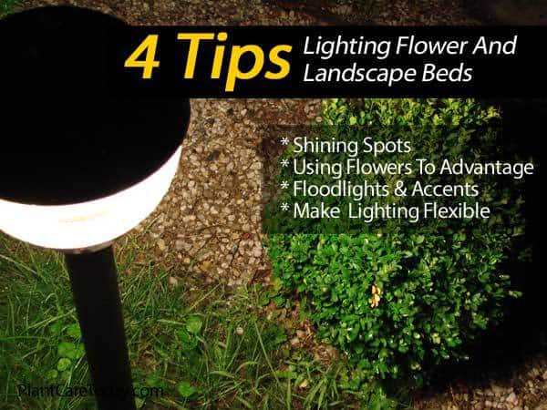 garden-bed-lighting-74_6 Градинско легло осветление