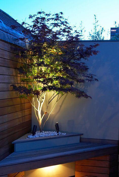 garden-tree-lighting-ideas-97_8 Идеи за осветление на градинско дърво