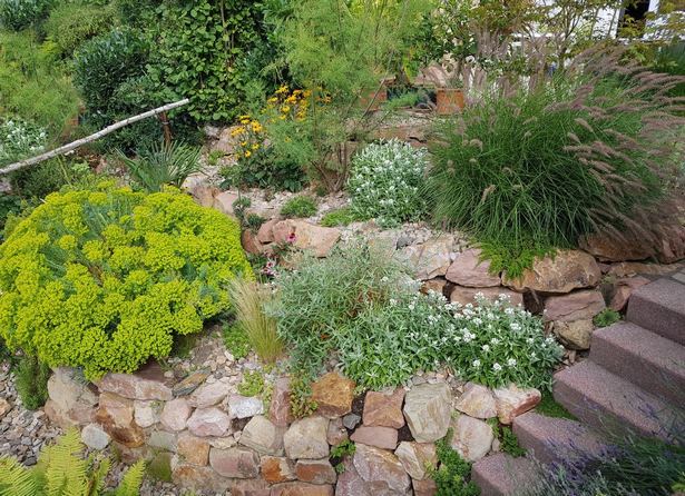 garden-with-rocks-and-stones-52_9 Градина с камъни и камъни
