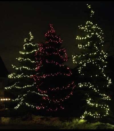 large-outdoor-xmas-tree-lights-59_10 Големи открит коледно дърво светлини