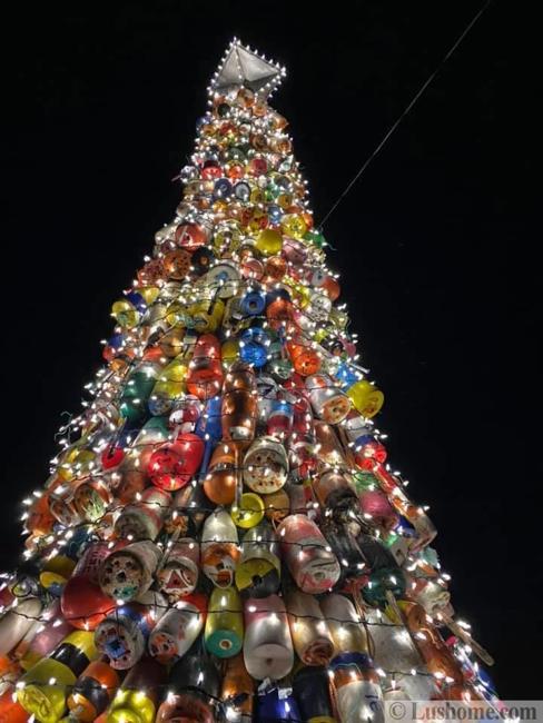 large-outdoor-xmas-tree-lights-59_11 Големи открит коледно дърво светлини