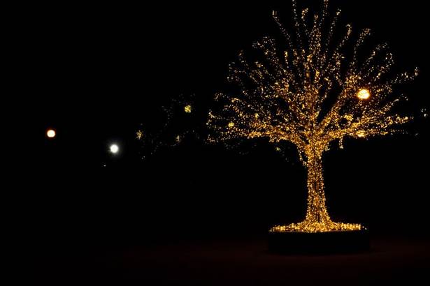large-outdoor-xmas-tree-lights-59_8 Големи открит коледно дърво светлини