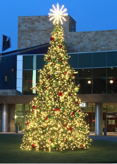 large-outdoor-xmas-tree-lights-59_9 Големи открит коледно дърво светлини
