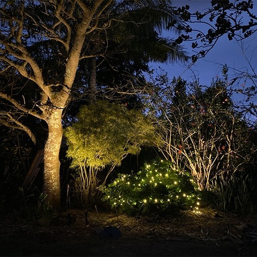led-lights-for-tree-outdoor-lighting-26 Светодиодни светлини за дърво външно осветление