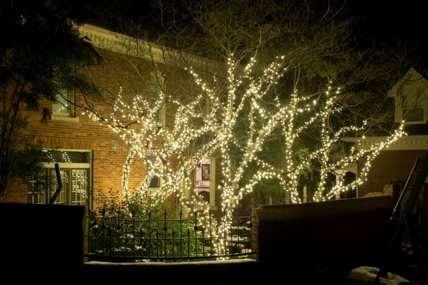 led-lights-for-tree-outdoor-lighting-26_10 Светодиодни светлини за дърво външно осветление