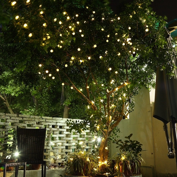 led-lights-for-tree-outdoor-lighting-26_14 Светодиодни светлини за дърво външно осветление