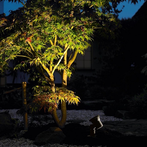 led-lights-for-tree-outdoor-lighting-26_3 Светодиодни светлини за дърво външно осветление