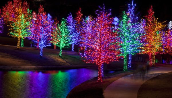 led-lights-for-tree-outdoor-lighting-26_5 Светодиодни светлини за дърво външно осветление