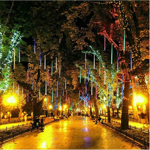 led-lights-for-tree-outdoor-lighting-26_8 Светодиодни светлини за дърво външно осветление