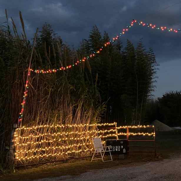 outdoor-christmas-fence-lights-68_7 Открит Коледа ограда светлини