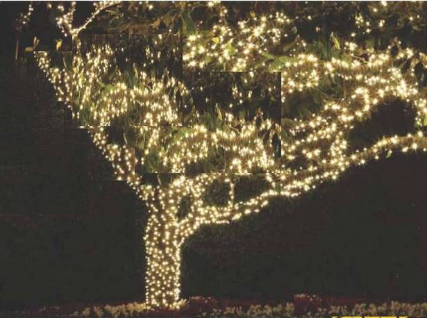 outdoor-decorative-tree-lighting-01_11 Външно декоративно дърво осветление