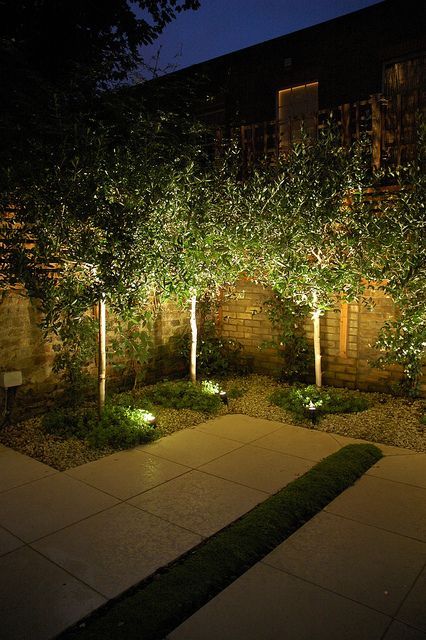 outdoor-flower-bed-lighting-25_11 Външно осветление за цветни лехи