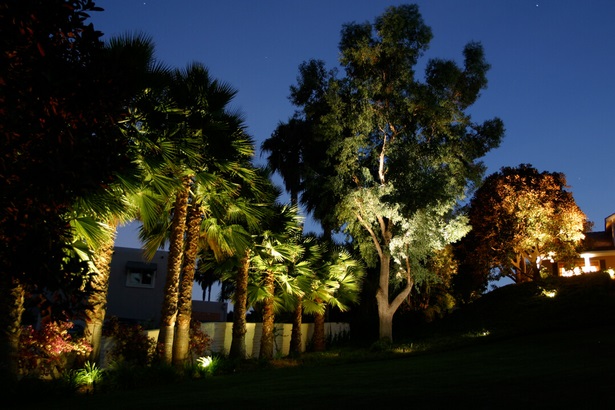 outdoor-tree-accent-lighting-10_5 Външно дърво акцент осветление