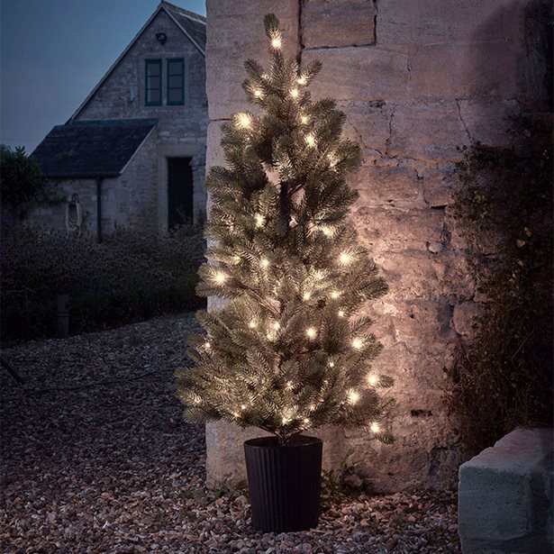 outdoor-tree-christmas-lighting-ideas-50_10 Открито дърво коледно осветление идеи
