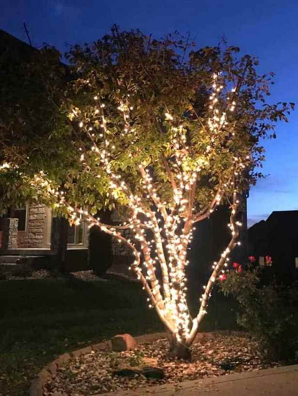 outdoor-tree-christmas-lighting-ideas-50_7 Открито дърво коледно осветление идеи