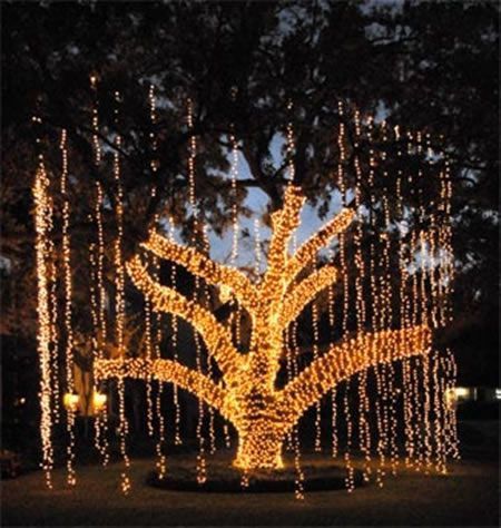 outdoor-tree-lighting-ideas-christmas-34_4 Открито дърво осветление идеи Коледа