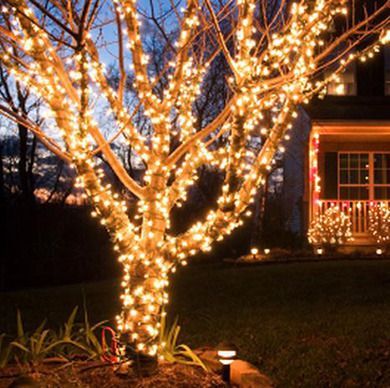 outdoor-tree-lighting-ideas-christmas-34_7 Открито дърво осветление идеи Коледа