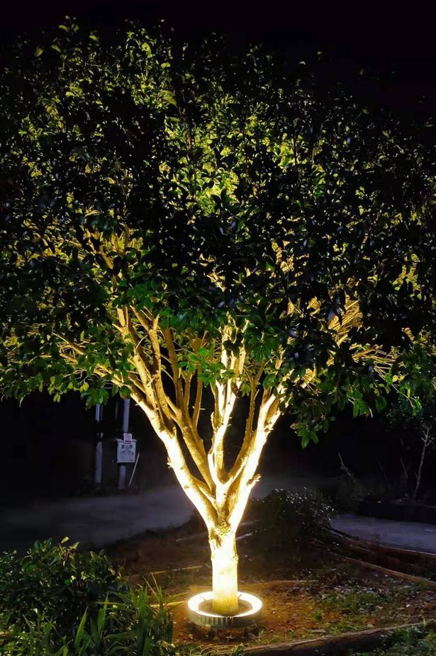 outside-tree-lights-06_17 Външни светлини за дърво
