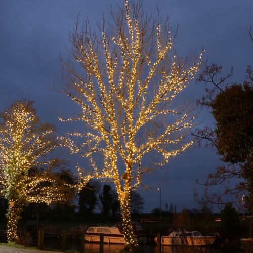 outside-tree-lights-06_2 Външни светлини за дърво