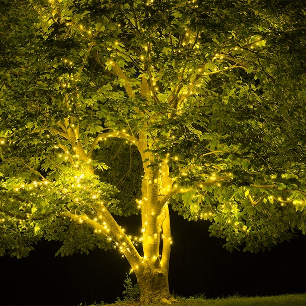 patio-tree-lights-83_5 Вътрешен двор дърво светлини