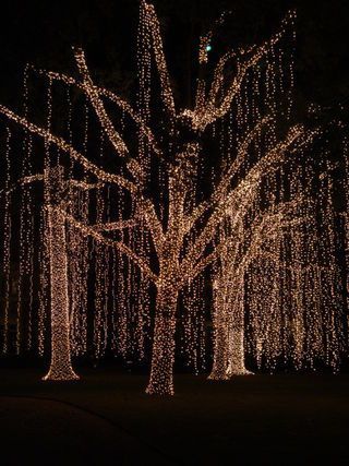 pretty-outdoor-christmas-lights-50_3 Доста открито коледни светлини
