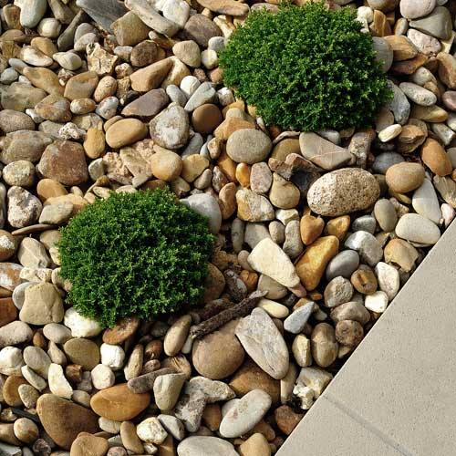 rocks-stones-landscaping-19_7 Скали камъни озеленяване