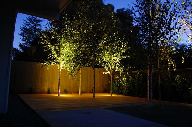 yard-tree-lights-34 Ярд дърво светлини