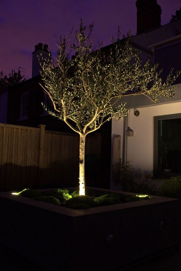 yard-tree-lights-34_7 Ярд дърво светлини