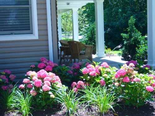 landscaping-front-porch-70_17 Озеленяване предна веранда