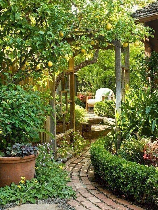 amazing-backyard-gardens-48_7 Невероятни градини в задния двор