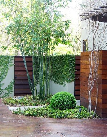 bamboo-landscaping-ideas-56_10 Идеи за озеленяване на бамбук