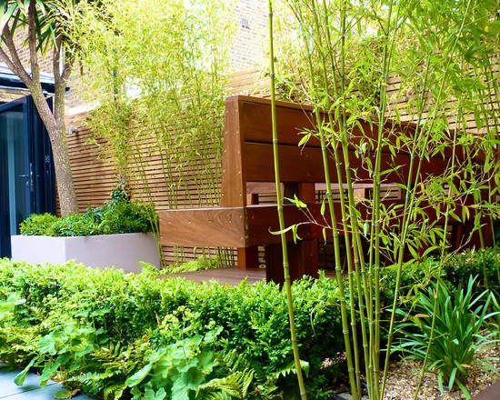 bamboo-landscaping-ideas-56_13 Идеи за озеленяване на бамбук