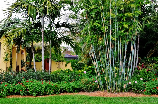 bamboo-landscaping-ideas-56_14 Идеи за озеленяване на бамбук