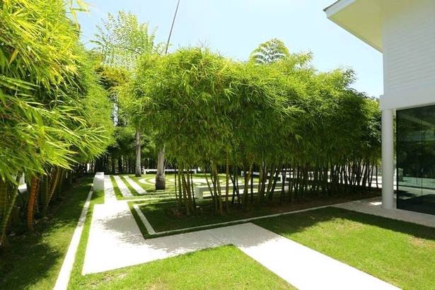 bamboo-landscaping-ideas-56_17 Идеи за озеленяване на бамбук